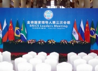 金砖国家领导人第三次会晤和博鳌亚洲论坛2011年年会